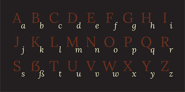 Card displaying Lora typeface in various styles