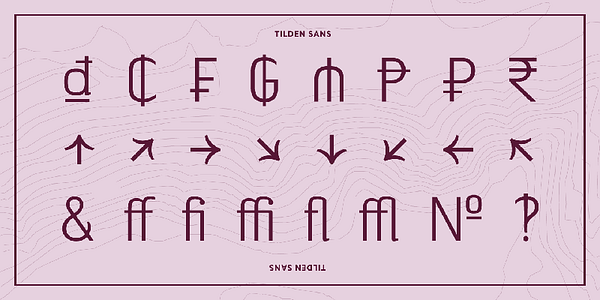 Card displaying Tilden Sans typeface in various styles