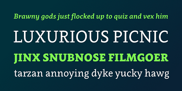Card displaying Clavo typeface in various styles