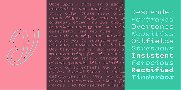 Card displaying Panel Sans Mono typeface in various styles