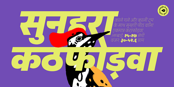 Card displaying Peridot Devanagari typeface in various styles