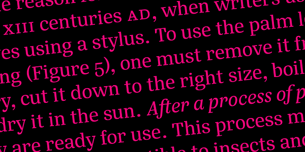 Card displaying Silva Text typeface in various styles