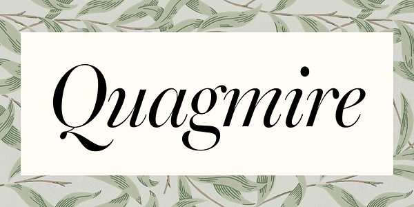 Card displaying Warbler typeface in various styles