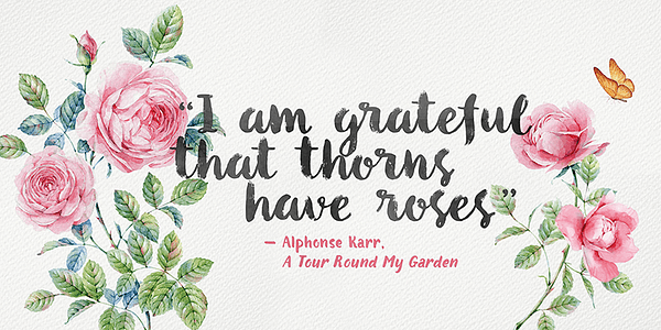 Card displaying Botanica typeface in various styles