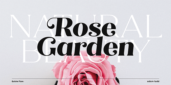 Card displaying Quiche Flare typeface in various styles