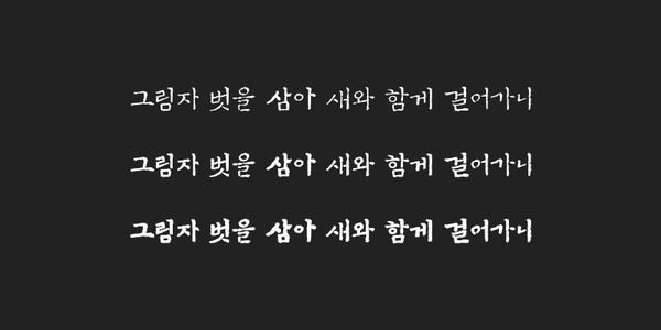 Card displaying ZW Songganggasa typeface in various styles