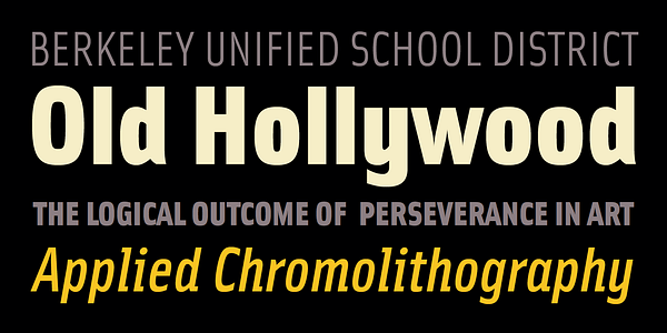 Card displaying Solex typeface in various styles