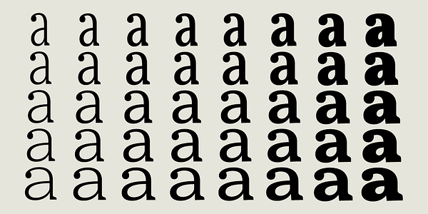 Card displaying Meursault Variable typeface in various styles