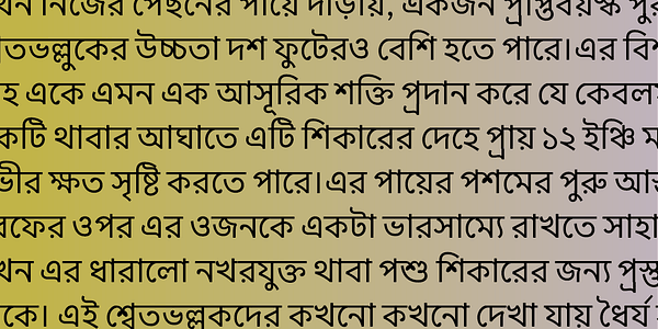 Card displaying Sarvatrik Bangla typeface in various styles