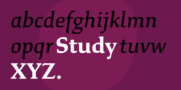Card displaying Study typeface in various styles