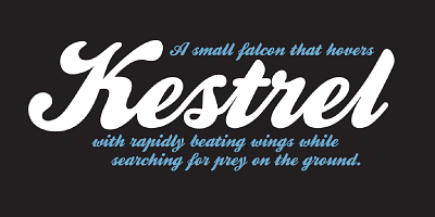 Card displaying Kestrel Script typeface in various styles