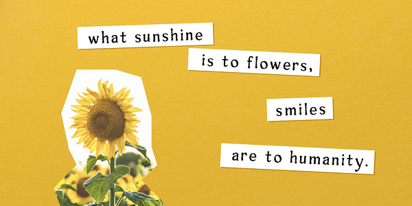 Card displaying Sunshine typeface in various styles