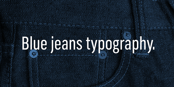 Card displaying New Frank typeface in various styles