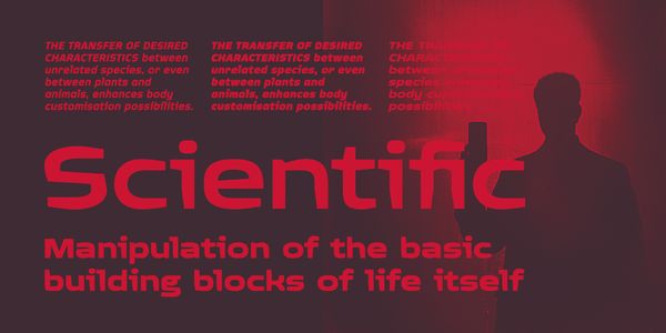 Card displaying Quagmire typeface in various styles