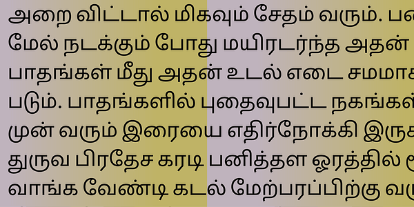 Card displaying Sarvatrik Tamil typeface in various styles