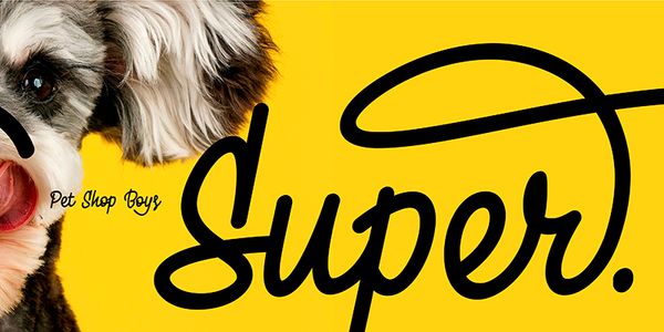 Card displaying PD Monolina typeface in various styles