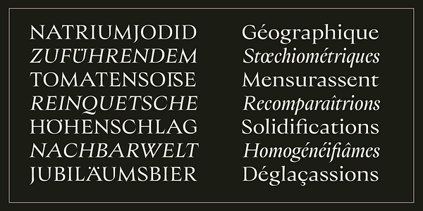 Card displaying Fang typeface in various styles