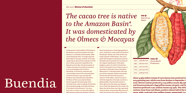 Card displaying Buendia typeface in various styles