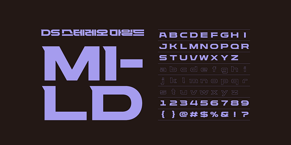 Card displaying DS Stereo typeface in various styles