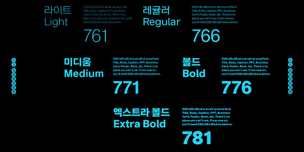 Card displaying DS EndEndEnd typeface in various styles