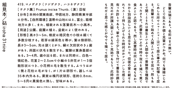 Card displaying Kinuta iroha 31nire StdN typeface in various styles