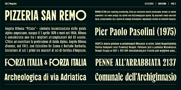 Card displaying Salo Variable typeface in various styles