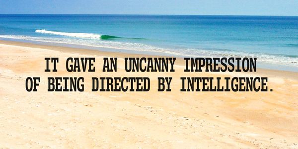 Card displaying Mitigate typeface in various styles