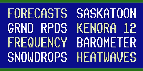 Card displaying Slight Chance Mono typeface in various styles