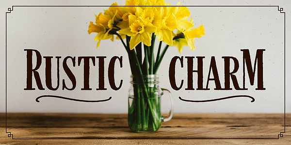 Card displaying Farmhand typeface in various styles