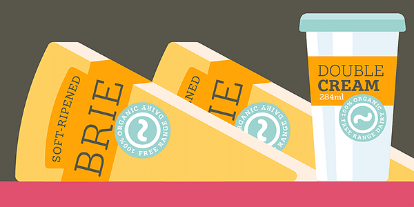 Card displaying Gelo typeface in various styles