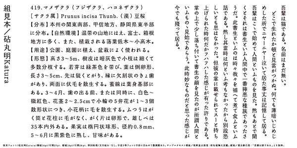 Card displaying Kinuta Marumin Katura StdN typeface in various styles