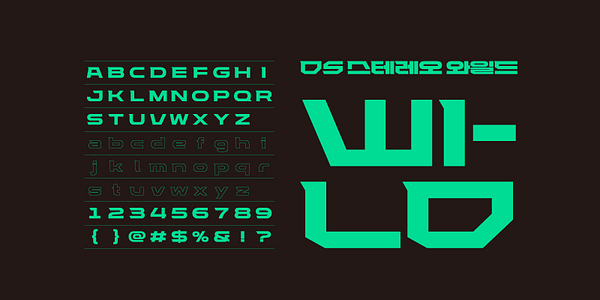 Card displaying DS Stereo typeface in various styles