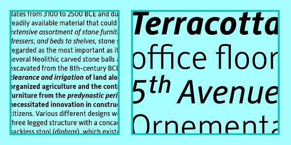 Card displaying Alber New typeface in various styles