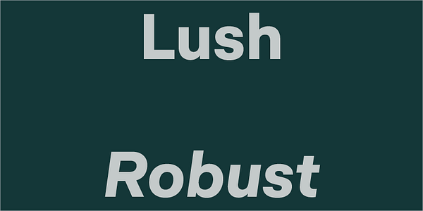 Card displaying Abacaxi Latin Variable typeface in various styles