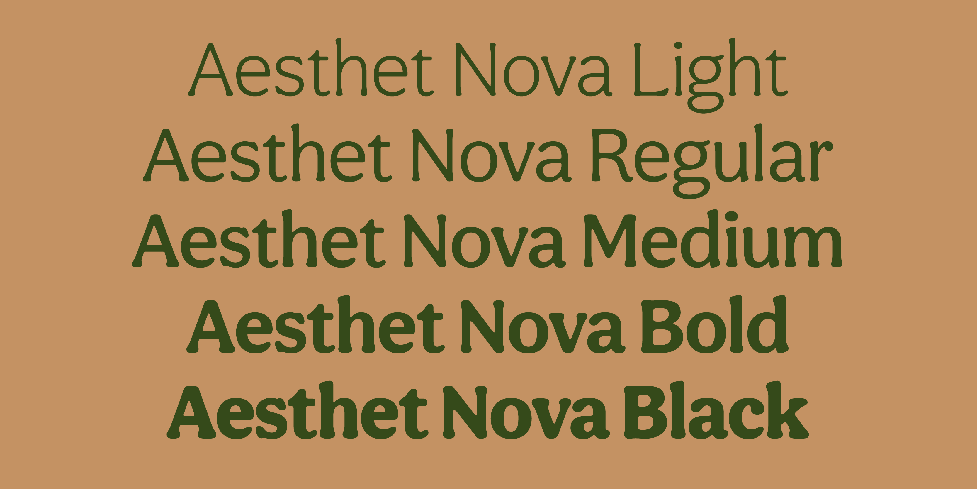 Card displaying Aesthet Nova typeface in various styles