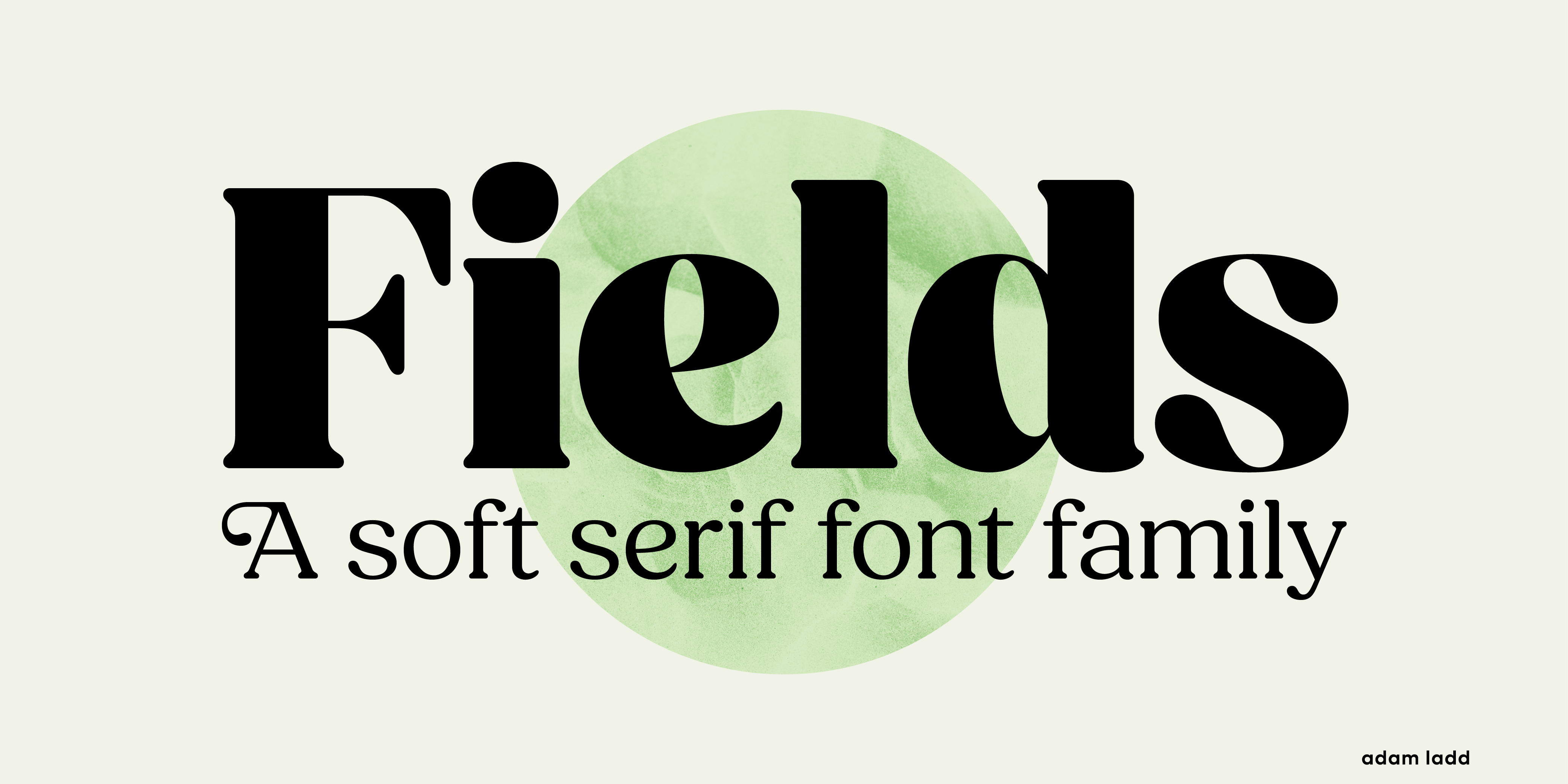 Card displaying Fields Display typeface in various styles