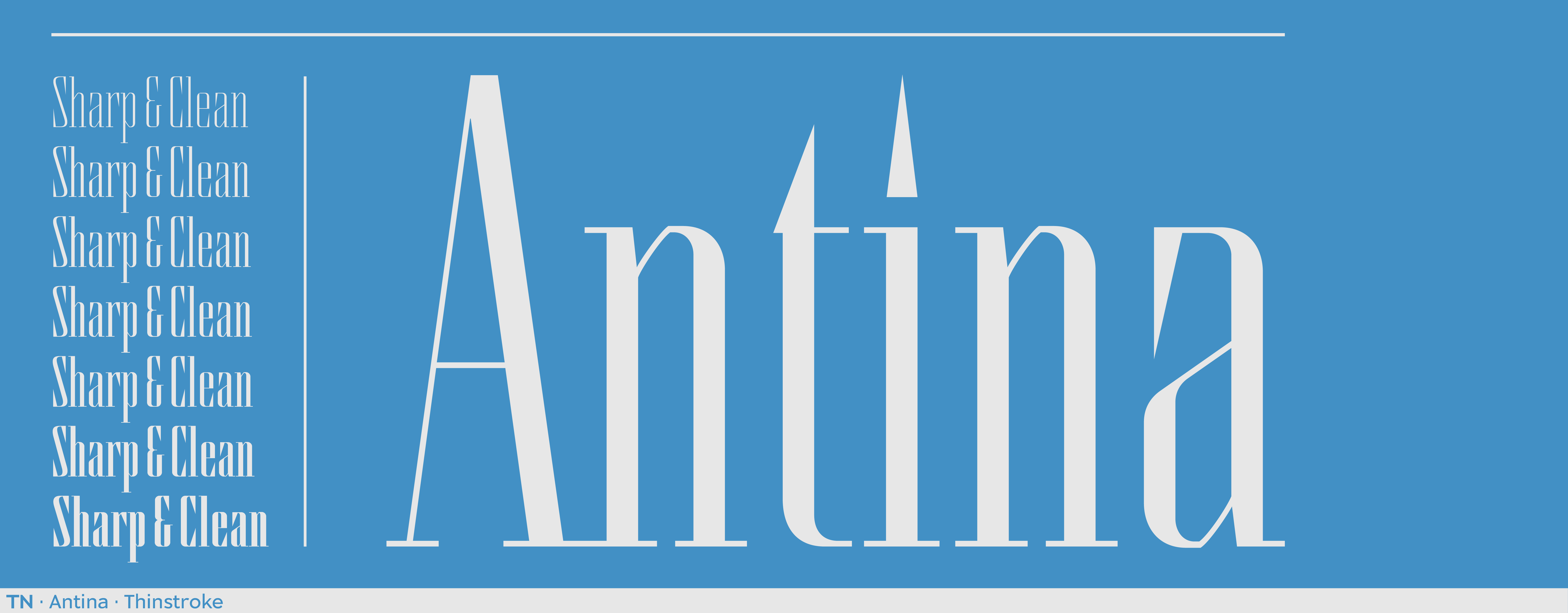 Card displaying Antina typeface in various styles