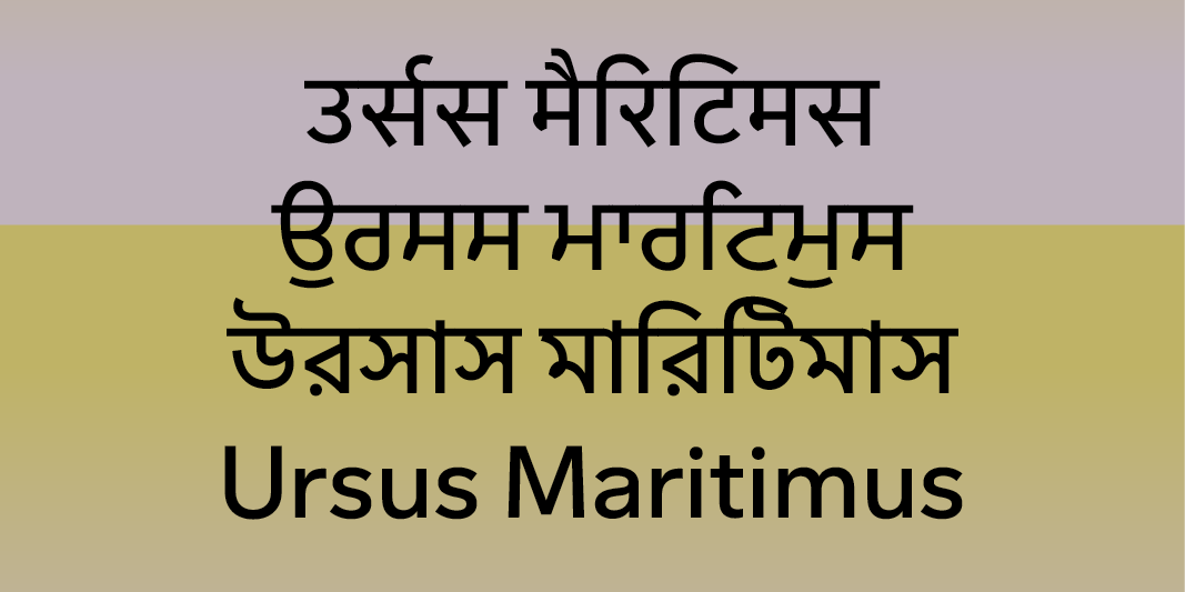 Card displaying Sarvatrik Gurmukhi typeface in various styles