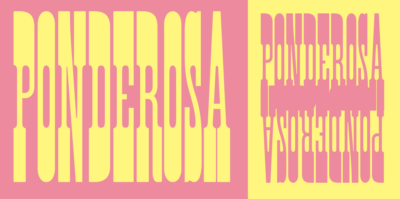 Card displaying Ponderosa Std typeface in various styles