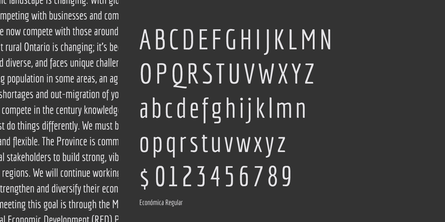 Card displaying Economica typeface in various styles