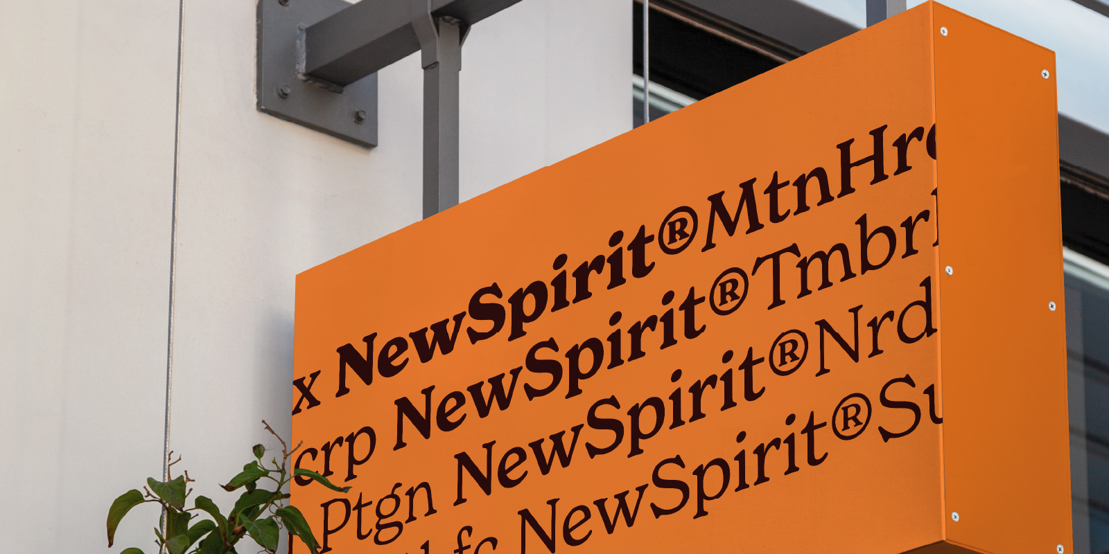 Card displaying New Spirit typeface in various styles