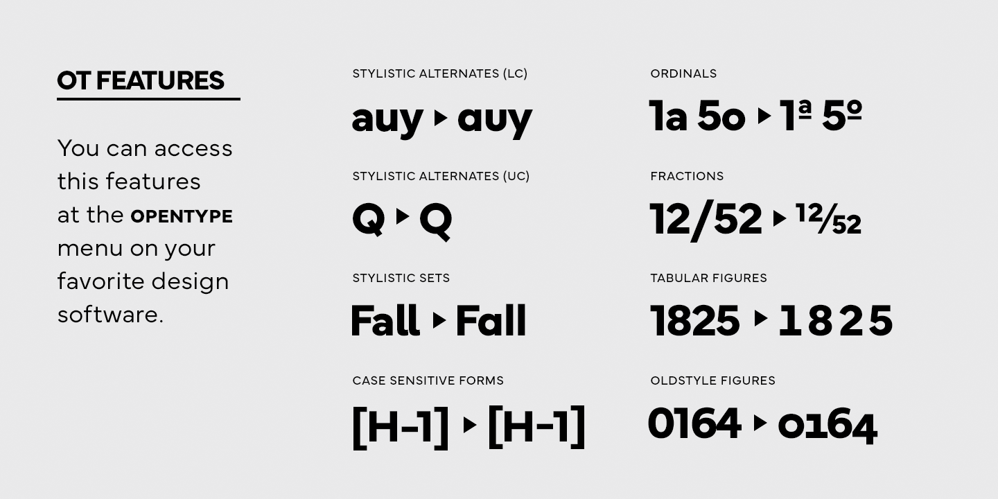 Card displaying Mundial typeface in various styles