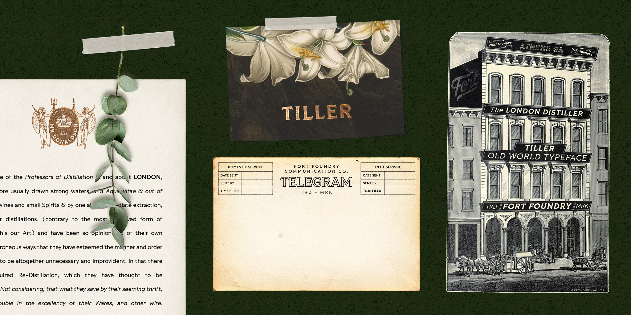 Card displaying Tiller typeface in various styles