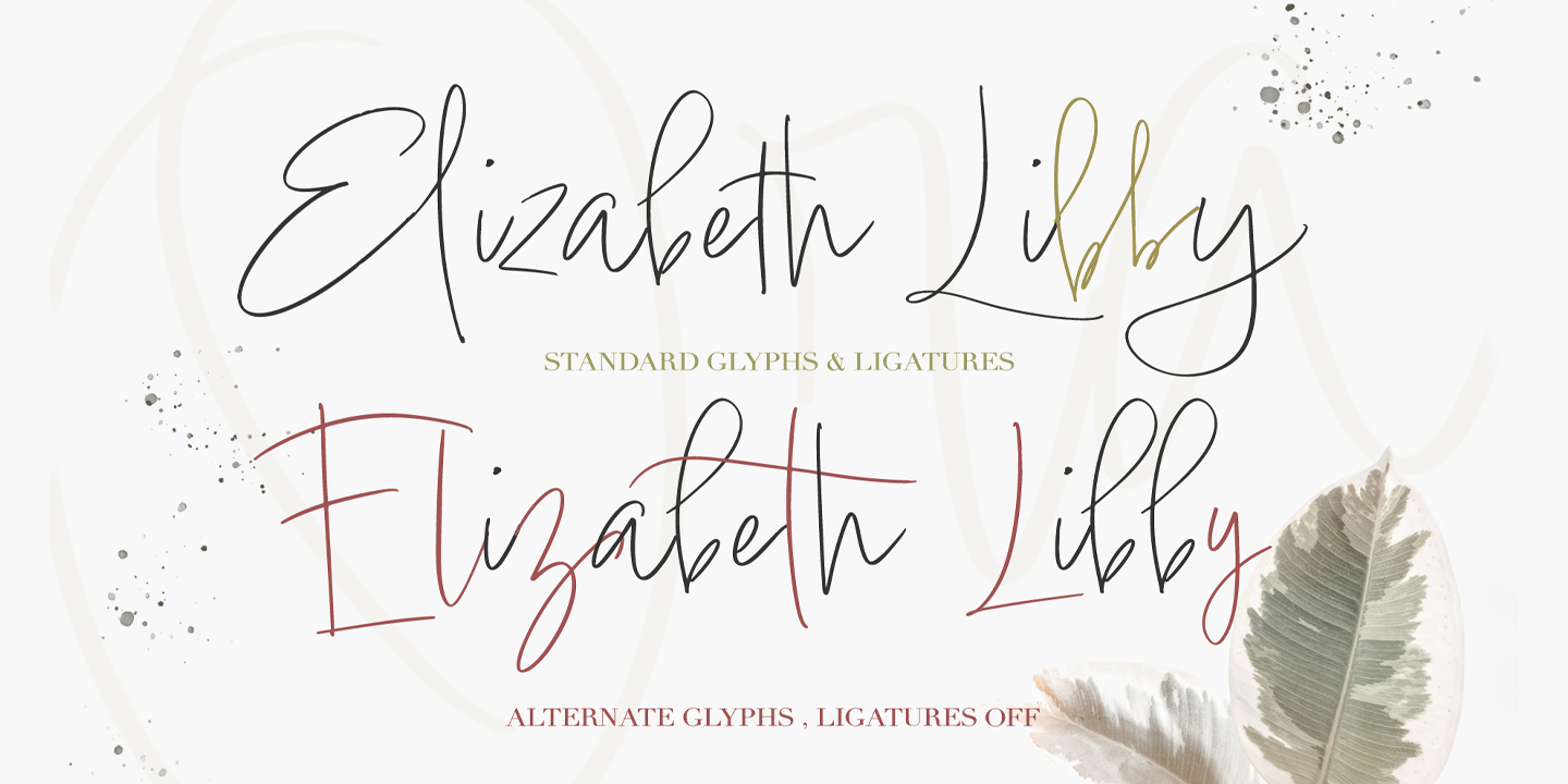 Card displaying Lindsey Signature typeface in various styles