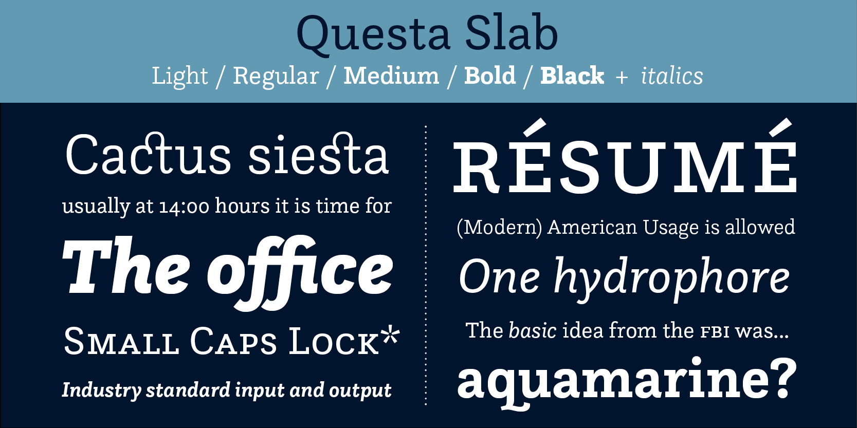 Card displaying Questa Slab typeface in various styles