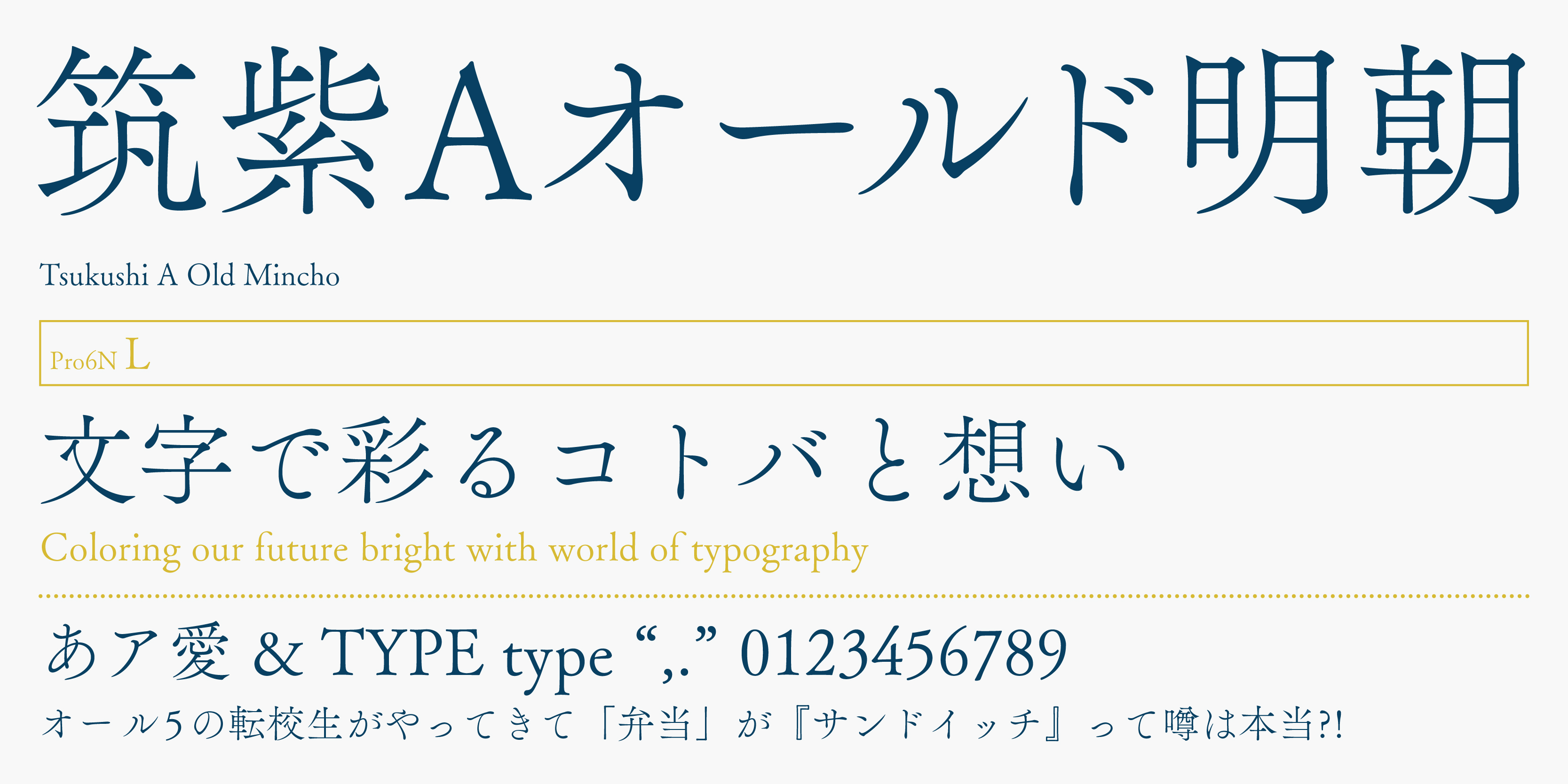 Card displaying FOT-TsukuAOldMin Pr6N typeface in various styles