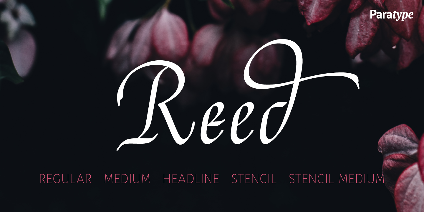Card displaying Reed typeface in various styles