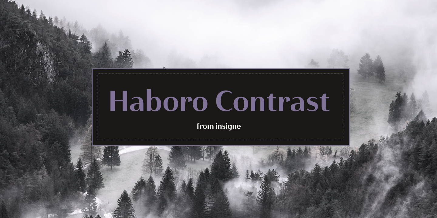 Card displaying Haboro Contrast typeface in various styles