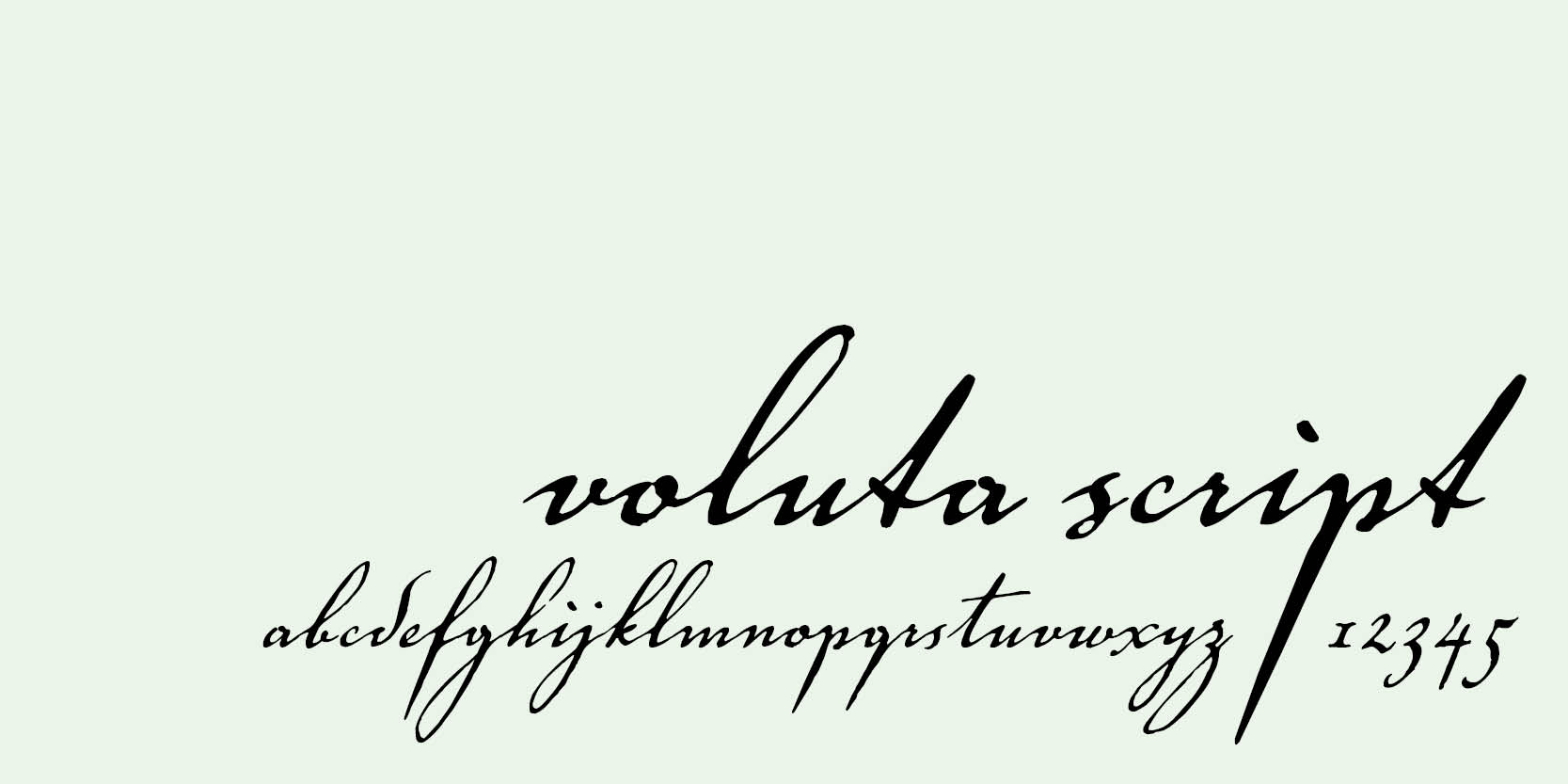 Card displaying Voluta Script typeface in various styles