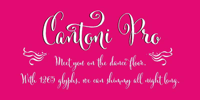 Card displaying Cantoni typeface in various styles